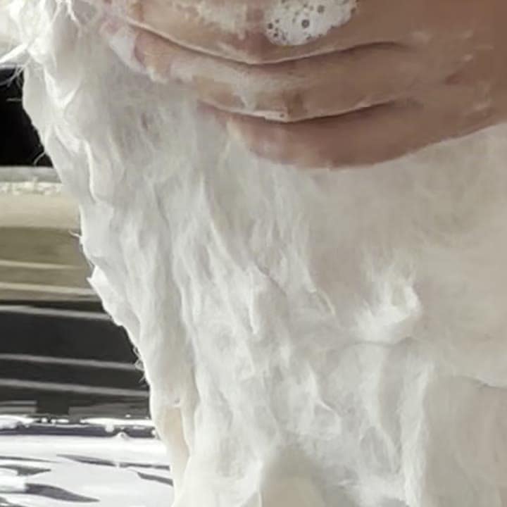 มือลูบฟองบนตัวน้องปอมในอ่างอาบน้ำ